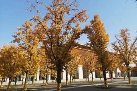 법문 문화 관광지