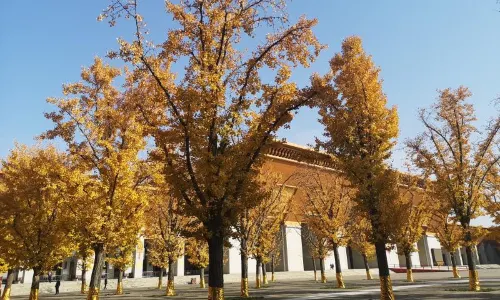 Famen Cultural Scenic Area