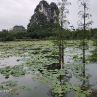 評論圖片 1