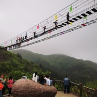 評論圖片 8