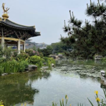 評論圖片 7