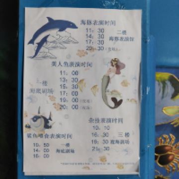 評論圖片 3