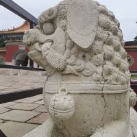 評論圖片 8