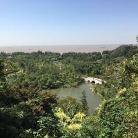評論圖片 4