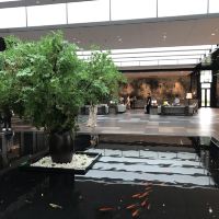 評論圖片 5