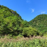 評論圖片 3