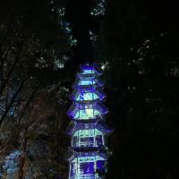 評論圖片 6