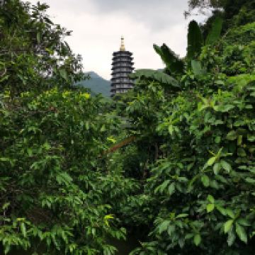 評論圖片 2