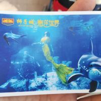 評論圖片 4