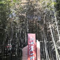 評論圖片 1