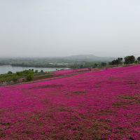 評論圖片 7