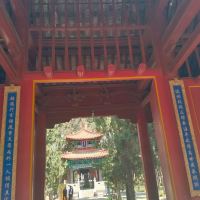 評論圖片 5