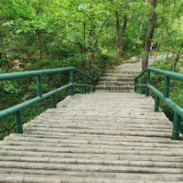 評論圖片 1