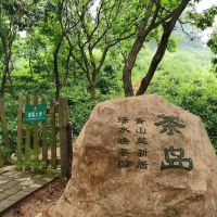 評論圖片 9