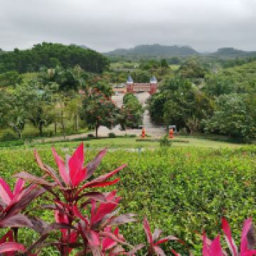 評論圖片 4