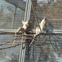 評論圖片 4