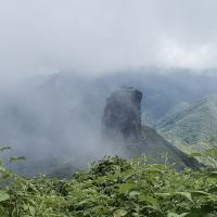 評論圖片 6