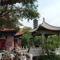 評論圖片 7