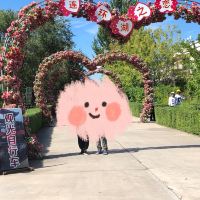 評論圖片 3