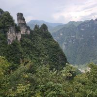評論圖片 7