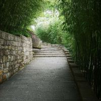 評論圖片 4