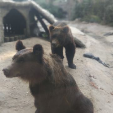 評論圖片 9