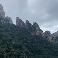 評論圖片 4