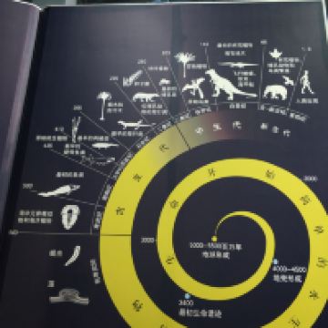 評論圖片 2