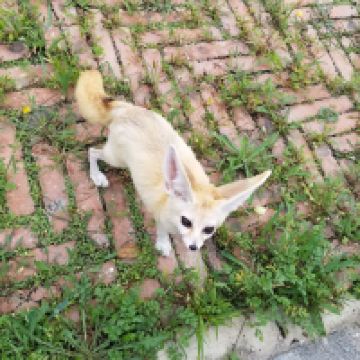 評論圖片 2