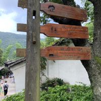 評論圖片 5