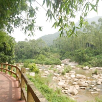 評論圖片 5