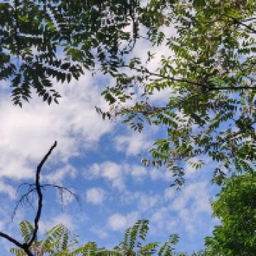 評論圖片 6
