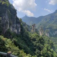 評論圖片 9