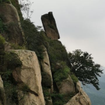 評論圖片 3