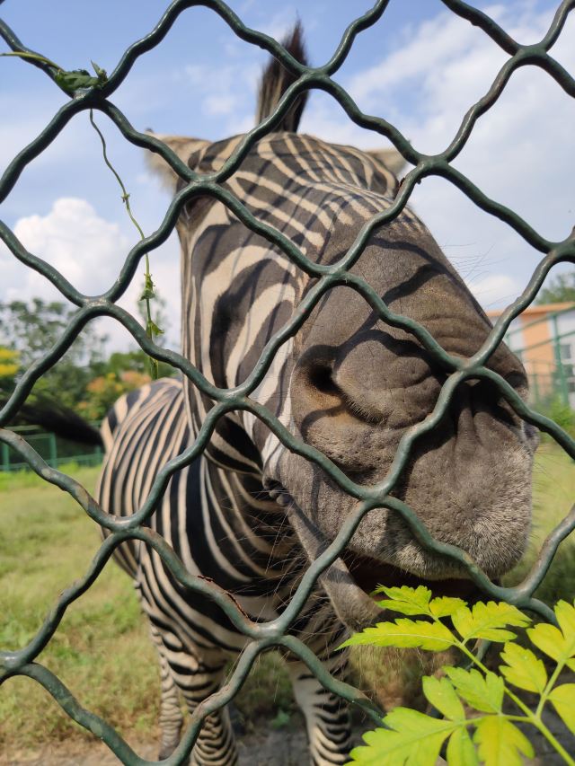 Yunhe Wan Forest Zoo