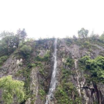 評論圖片 1