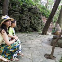 評論圖片 4