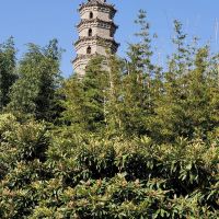 評論圖片 9