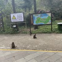 評論圖片 8