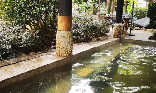 Qilin Hot Spring Spa