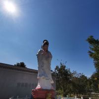 評論圖片 5