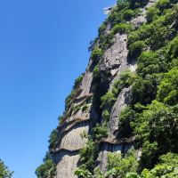 評論圖片 6