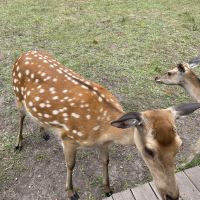 評論圖片 1