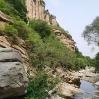 評論圖片 5