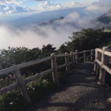 評論圖片 9
