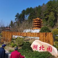 評論圖片 5