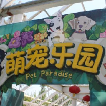 評論圖片 6