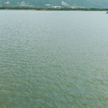 評論圖片 4