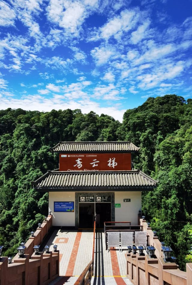 Bifengxia Giant Panda Base