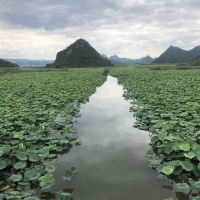 評論圖片 9